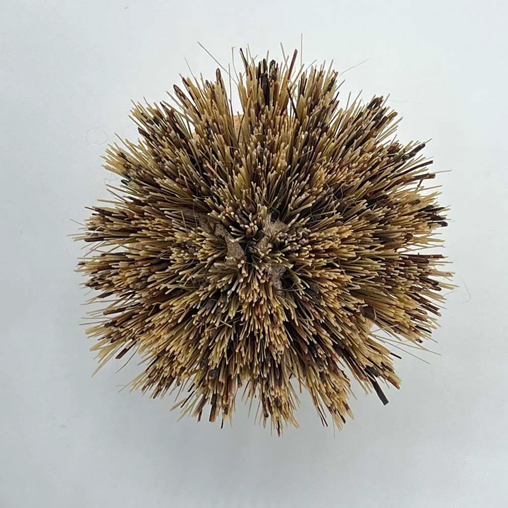 &Keep Pot Brush - Stiff - Image 8