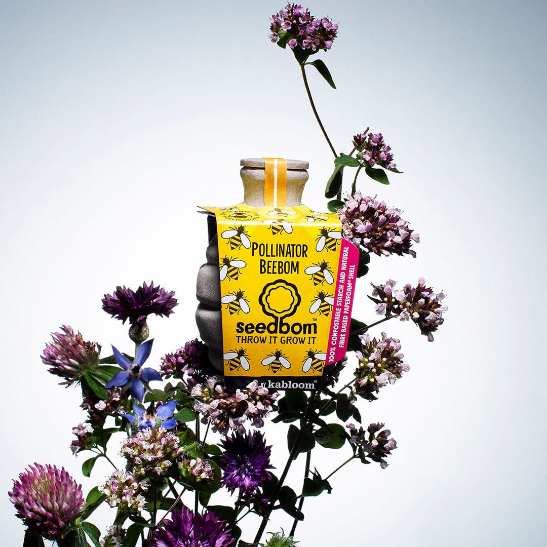 Pollinator Beebom Seedbom - Image 3