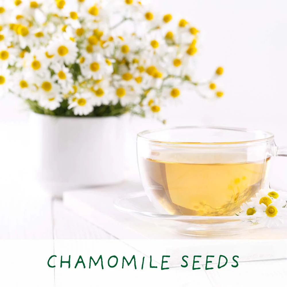 Best Mum Herbal Teas Growing Kit by The Plant Gift Co. - Image 2