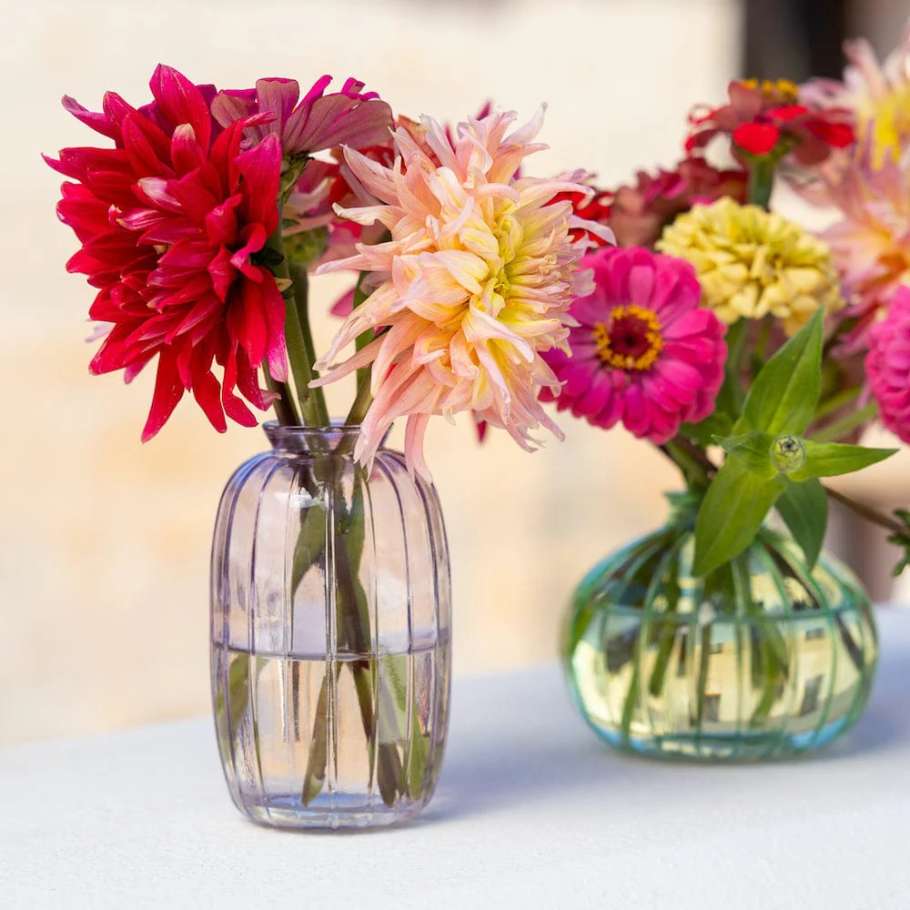 Clear Round Glass Bud Vase - Image 4