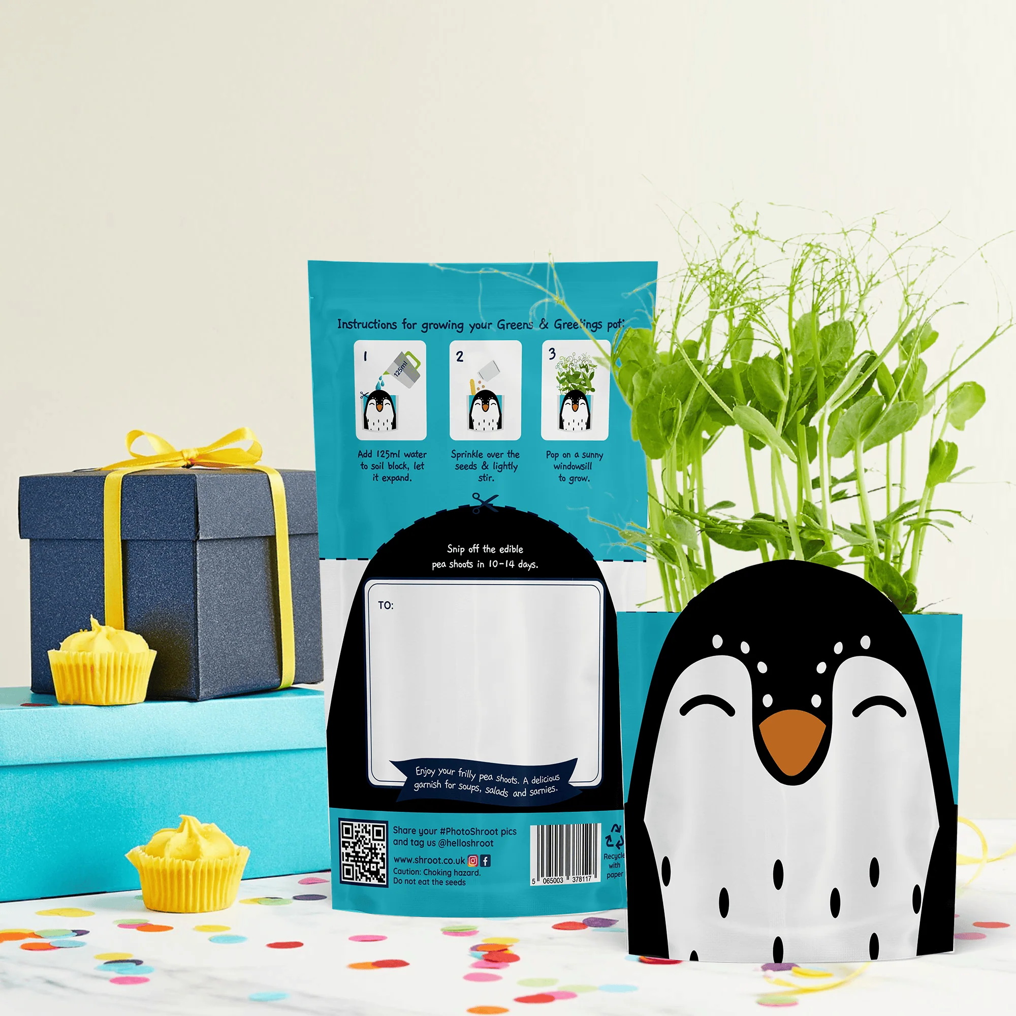 'Sonny' Penguin Growable Microgreen Greetings Card