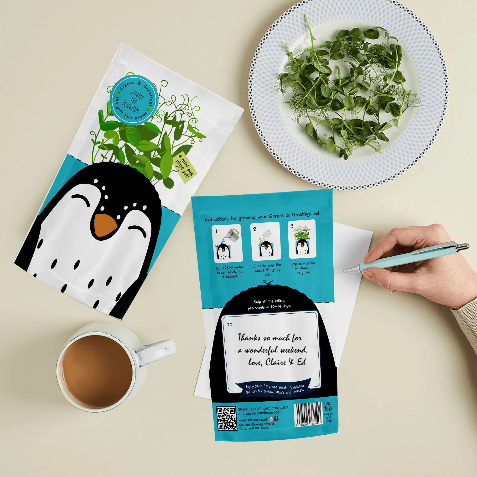 'Sonny' Penguin Growable Microgreen Greetings Card - Image 2