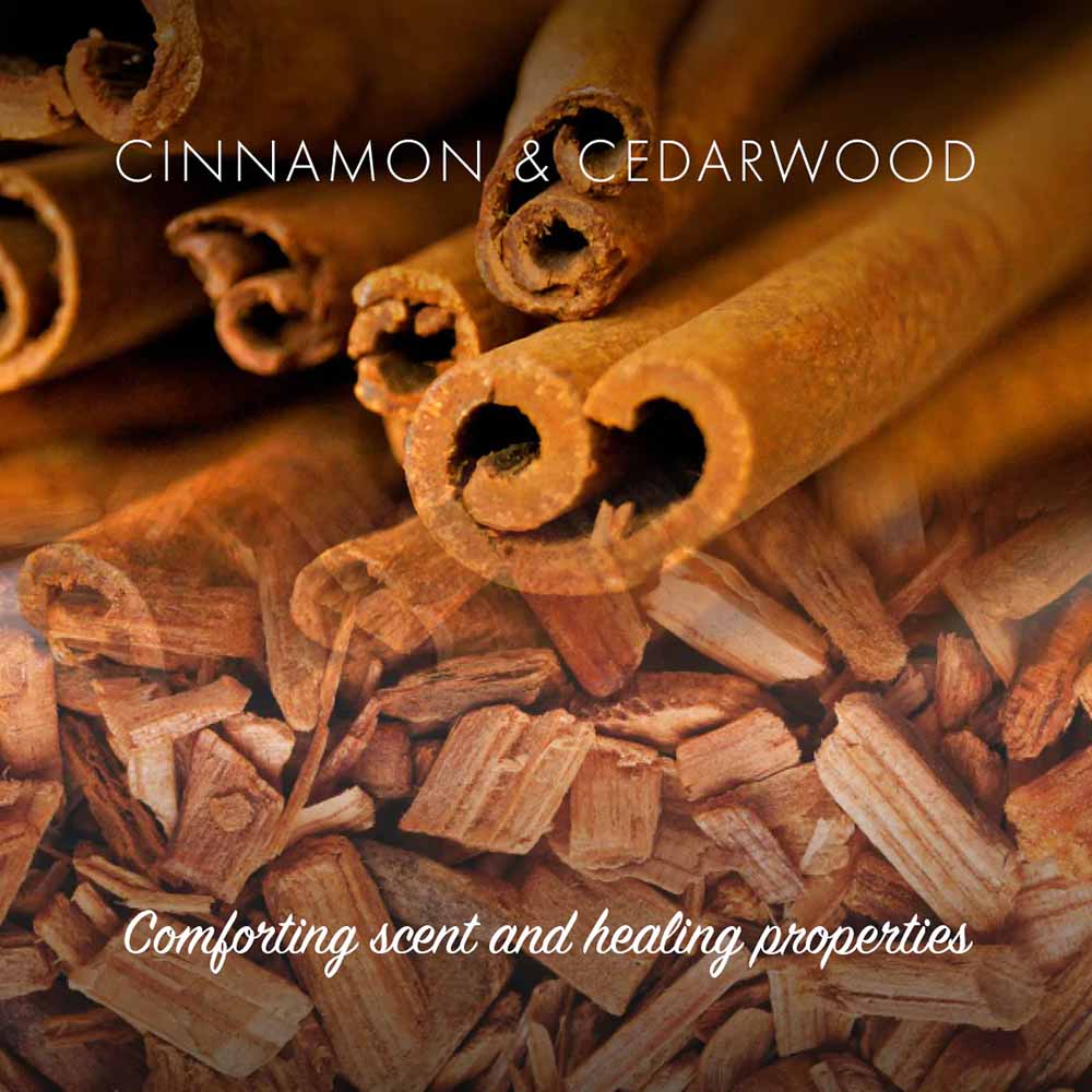 Friendly Soap - Cinnamon - Image 3