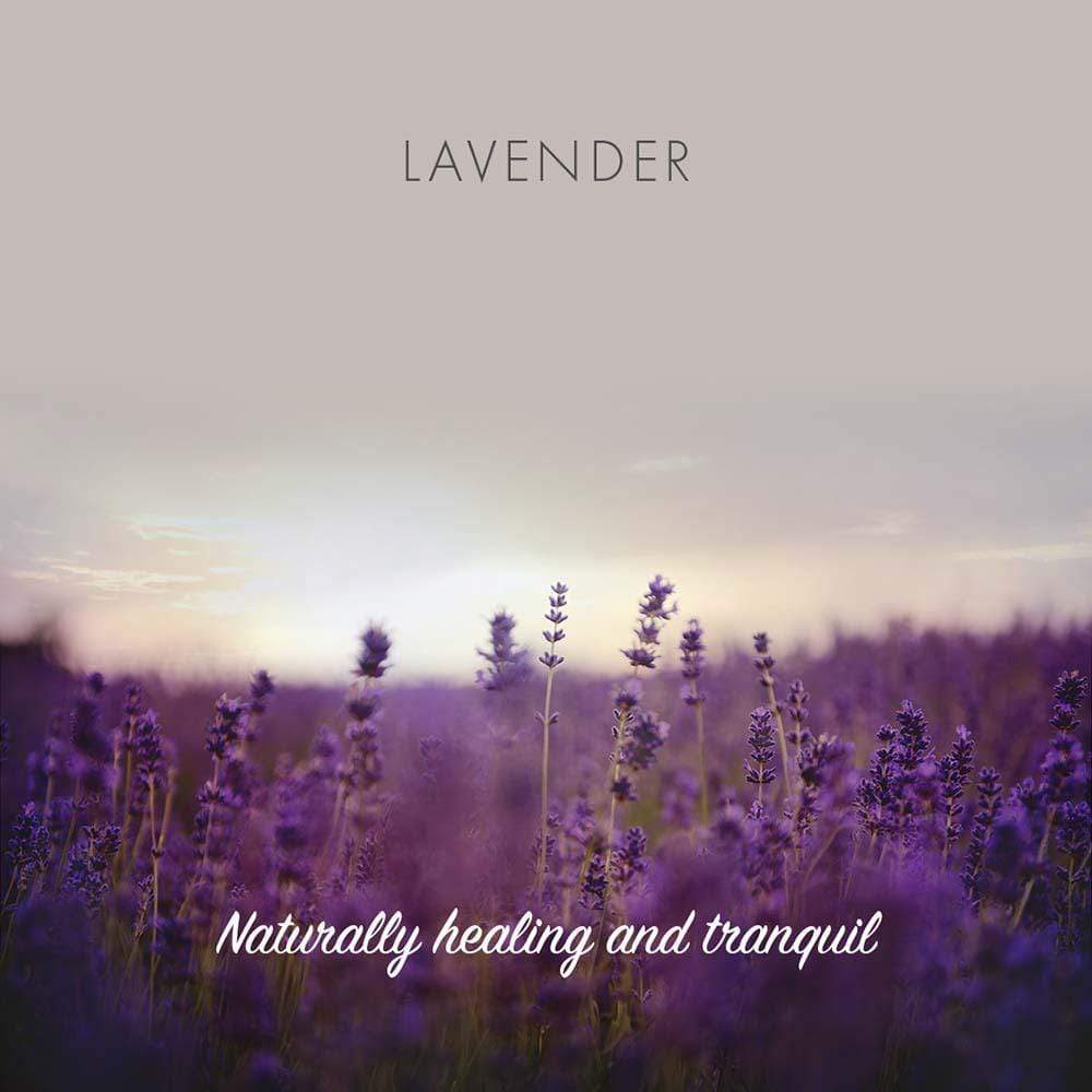 Friendly Soap - Lavender - Image 3