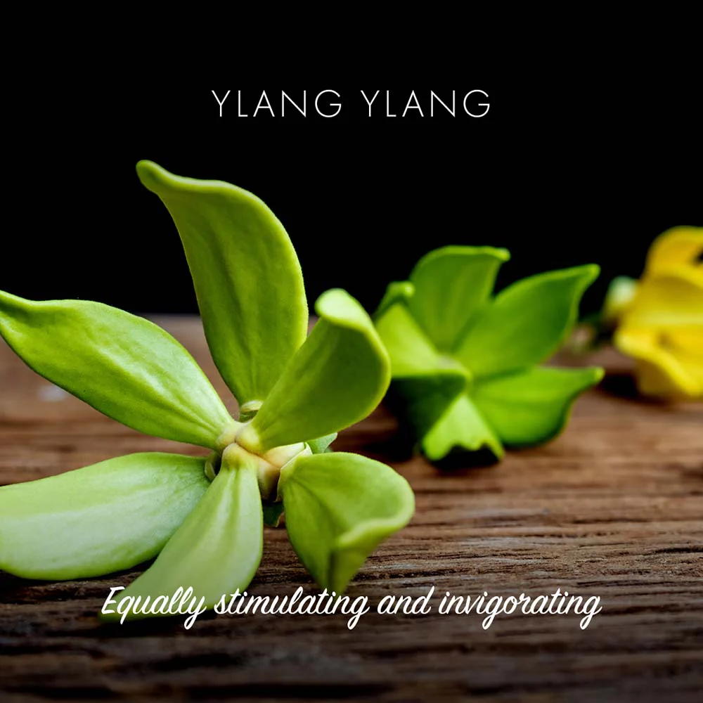 Friendly Soap - Ylang Ylang - Image 2