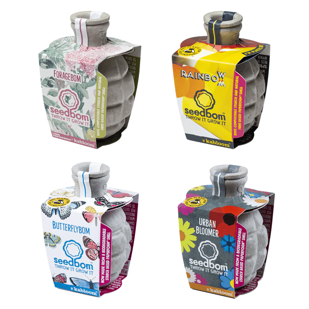 Great British Bloomers Seedbom Gift Box - Image 3