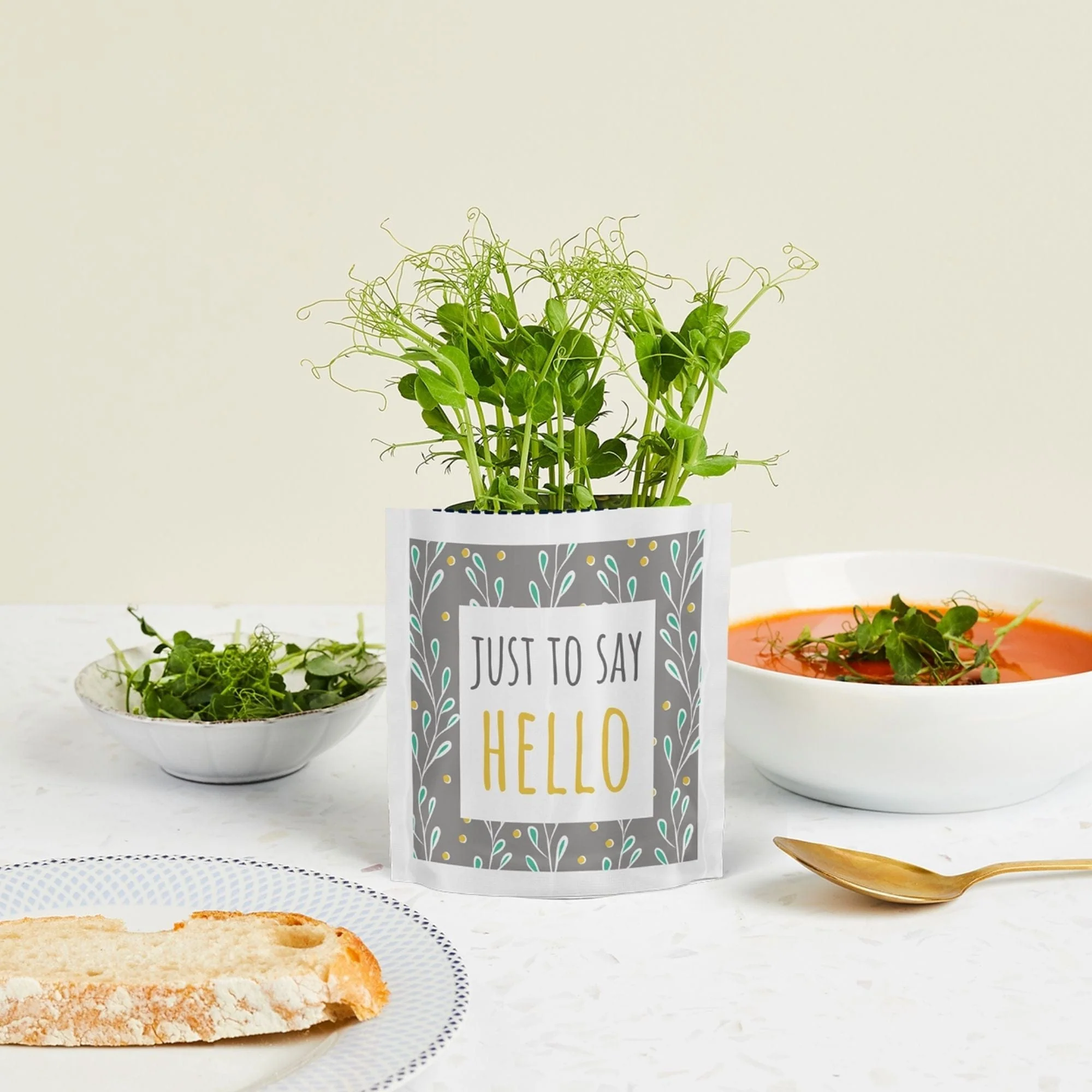 'Just to Say Hello' Growable Microgreen Greetings Card - Image 3