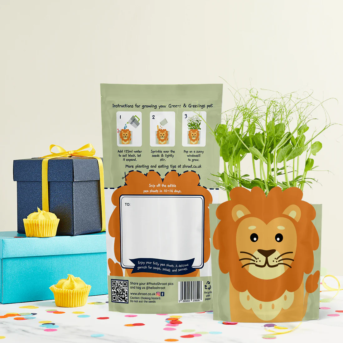 'Leo' Lion Growable Microgreen Greetings Card