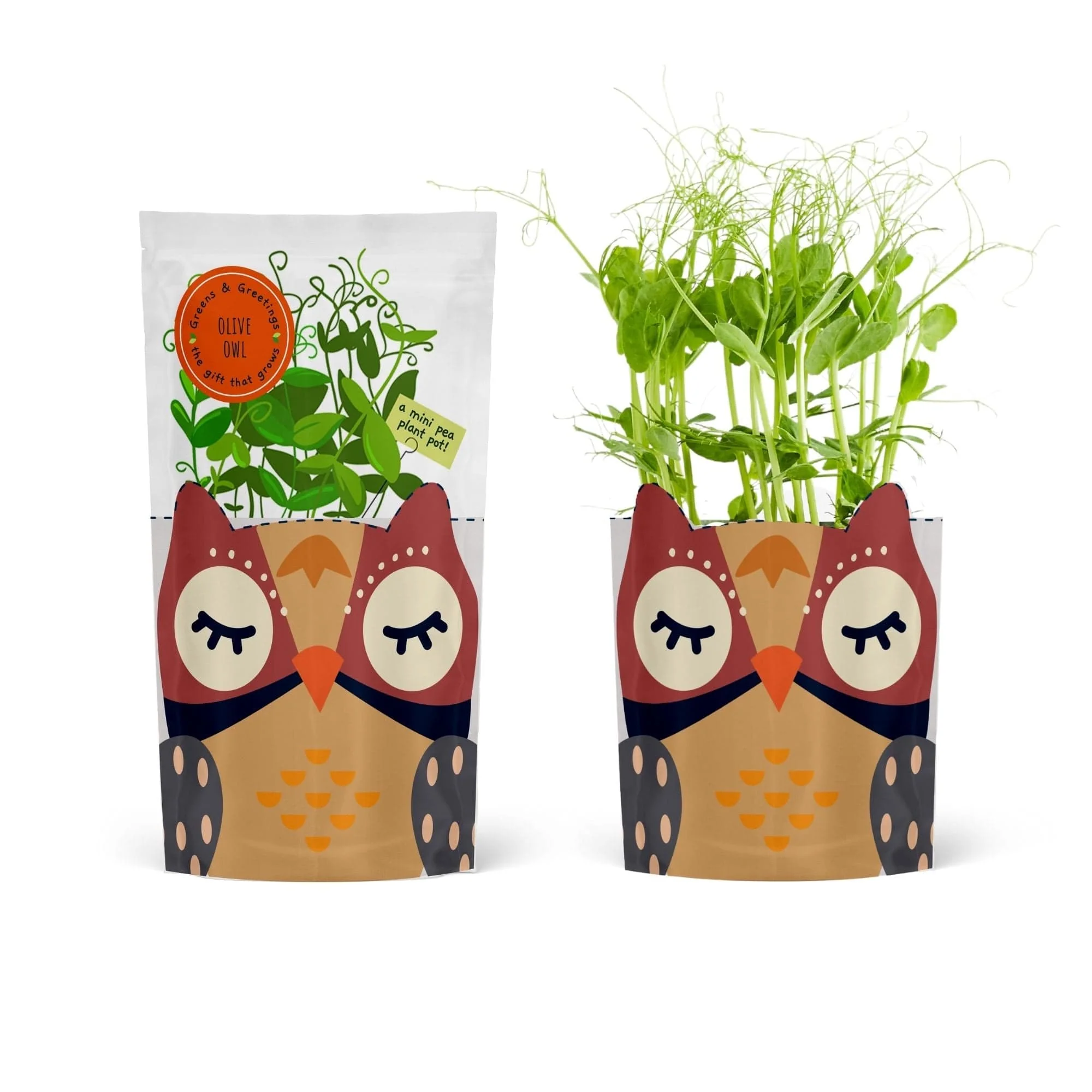 'Olive' Owl Growable Microgreen Greetings Card - Image 5