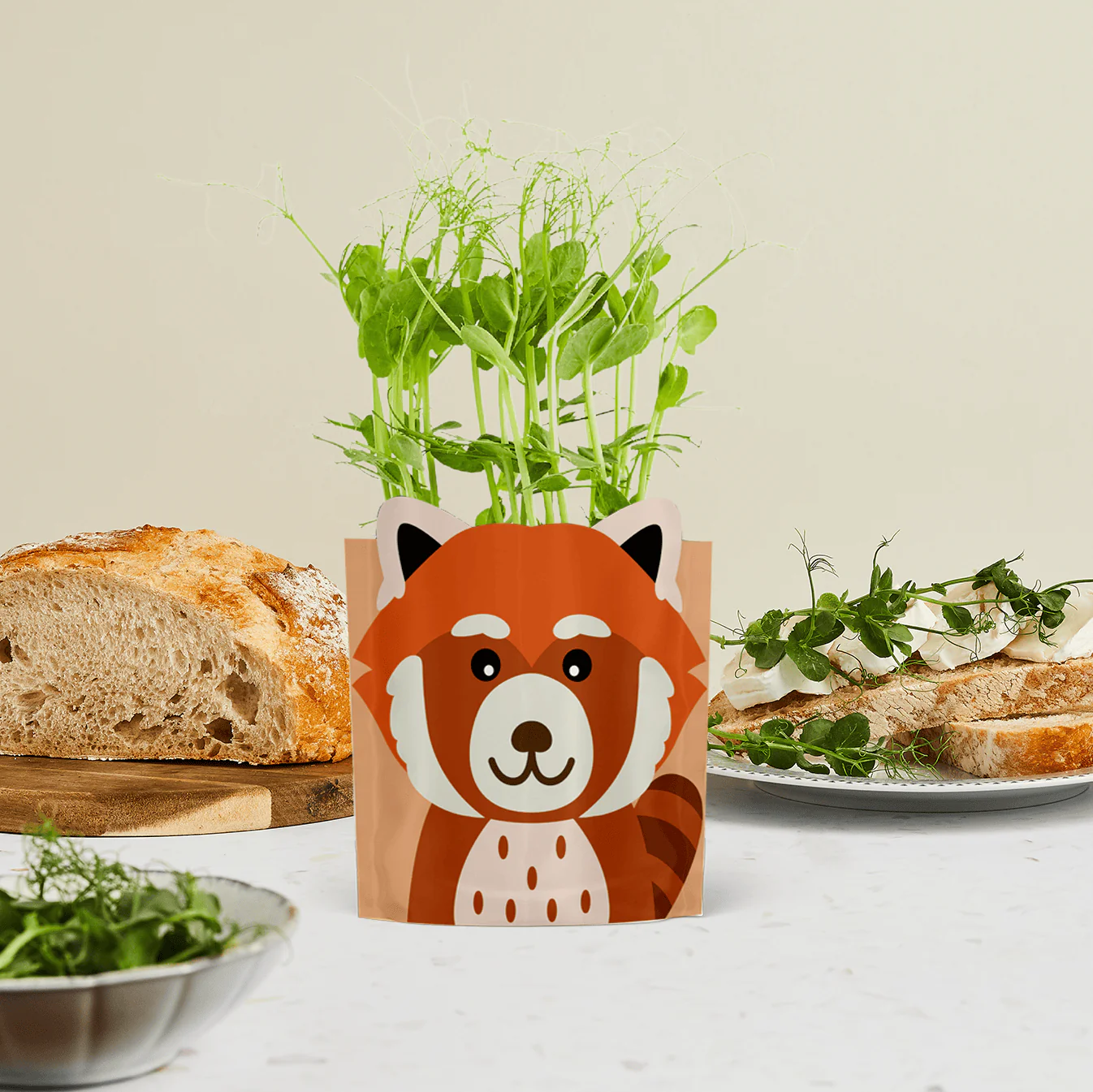 'Ruby' Red Panda Growable Microgreen Greetings Card - Image 3