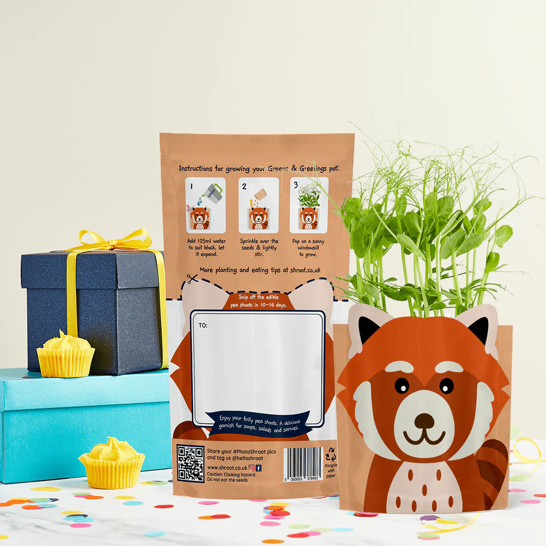 'Ruby' Red Panda Growable Microgreen Greetings Card - Image 4