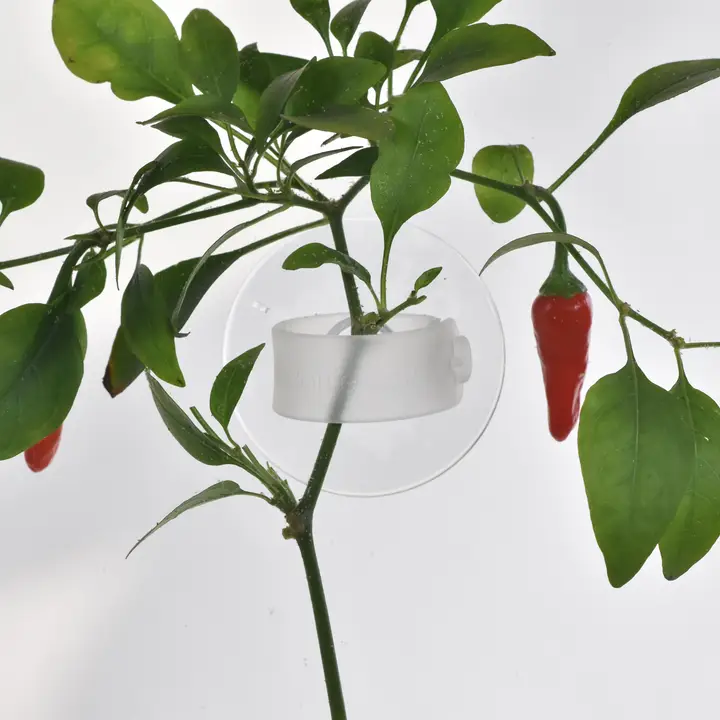Grow Clip Pack - Indoor Plant Support Clips for Herbs & Veg - Image 2