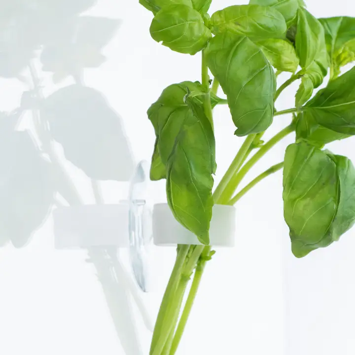 Grow Clip Pack - Indoor Plant Support Clips for Herbs & Veg - Image 4
