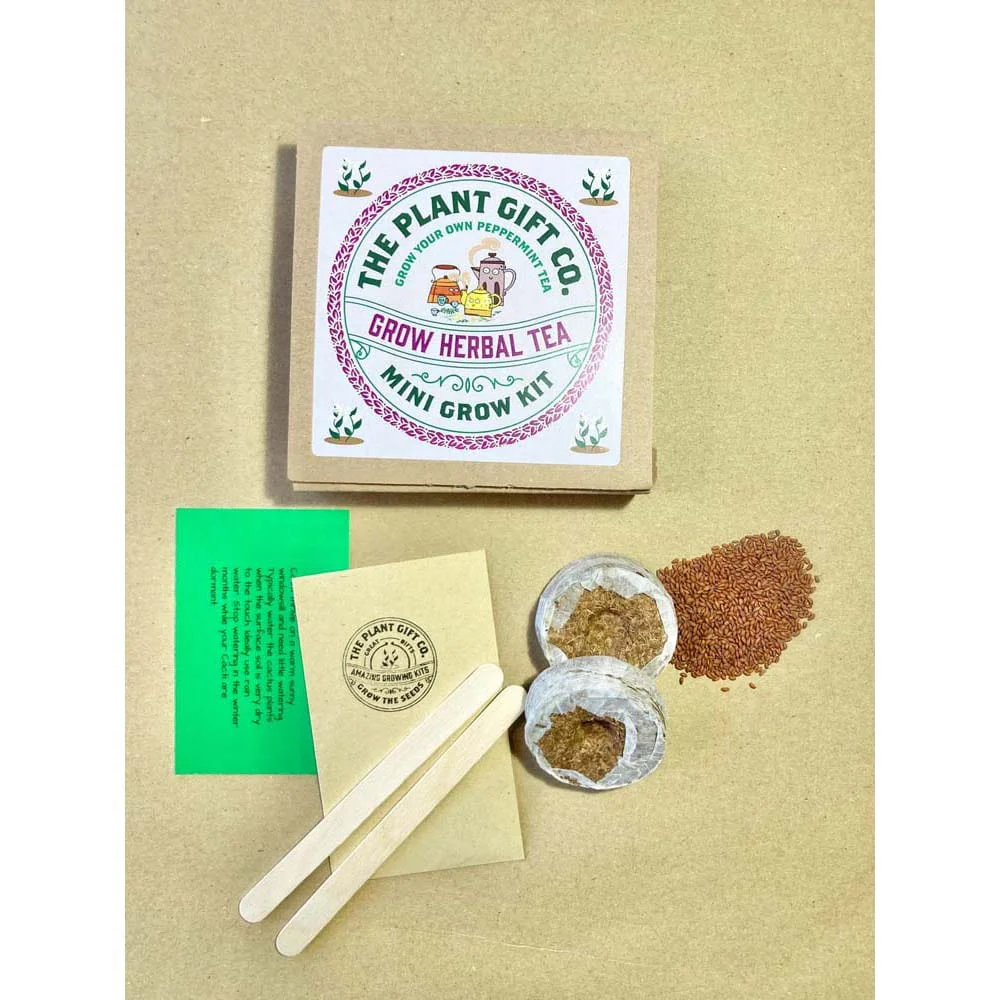 Herbal Tea Mini Grow Kit by The Plant Gift Co. - Image 3