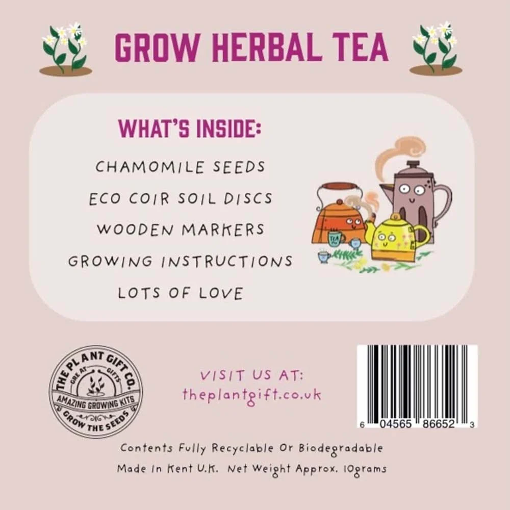 Herbal Tea Mini Grow Kit by The Plant Gift Co. - Image 4