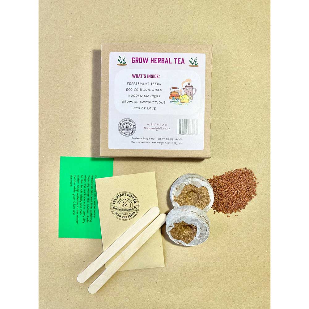 Herbal Tea Mini Grow Kit by The Plant Gift Co. - Image 5