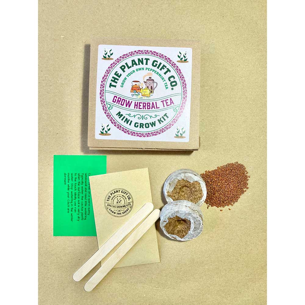 Herbal Tea Mini Grow Kit by The Plant Gift Co. - Image 6