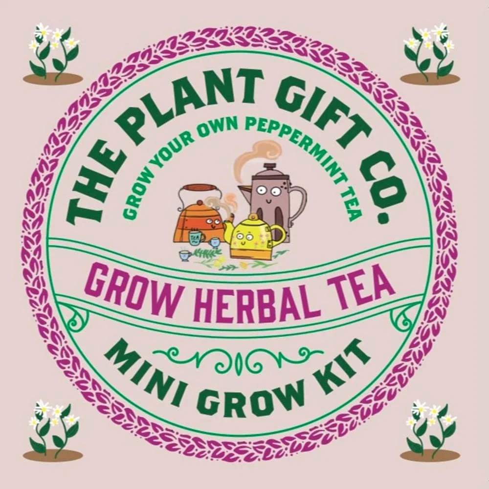 Herbal Tea Mini Grow Kit by The Plant Gift Co. - Image 8