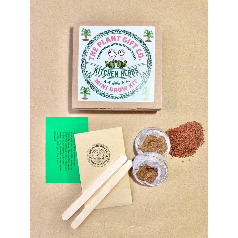 Kitchen Herbs Mini Grow Kit by The Plant Gift Co. - Image 3