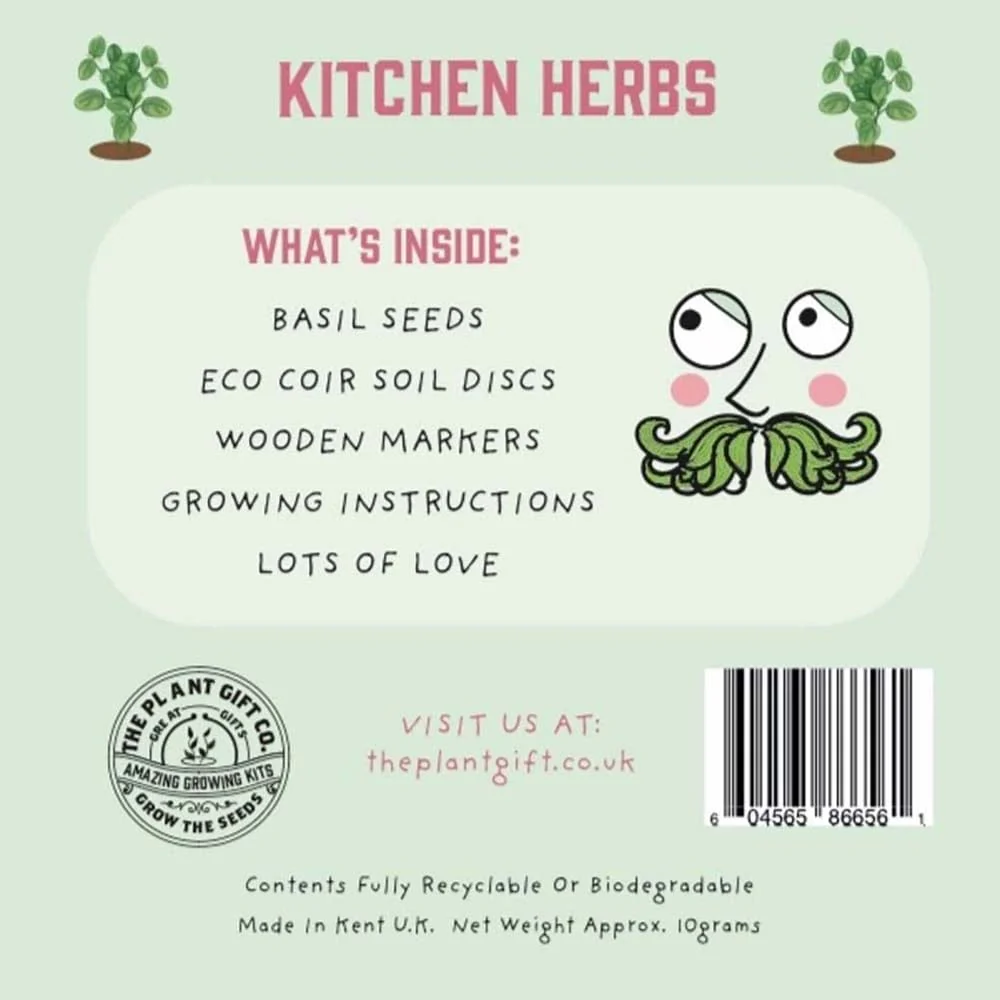 Kitchen Herbs Mini Grow Kit by The Plant Gift Co. - Image 4