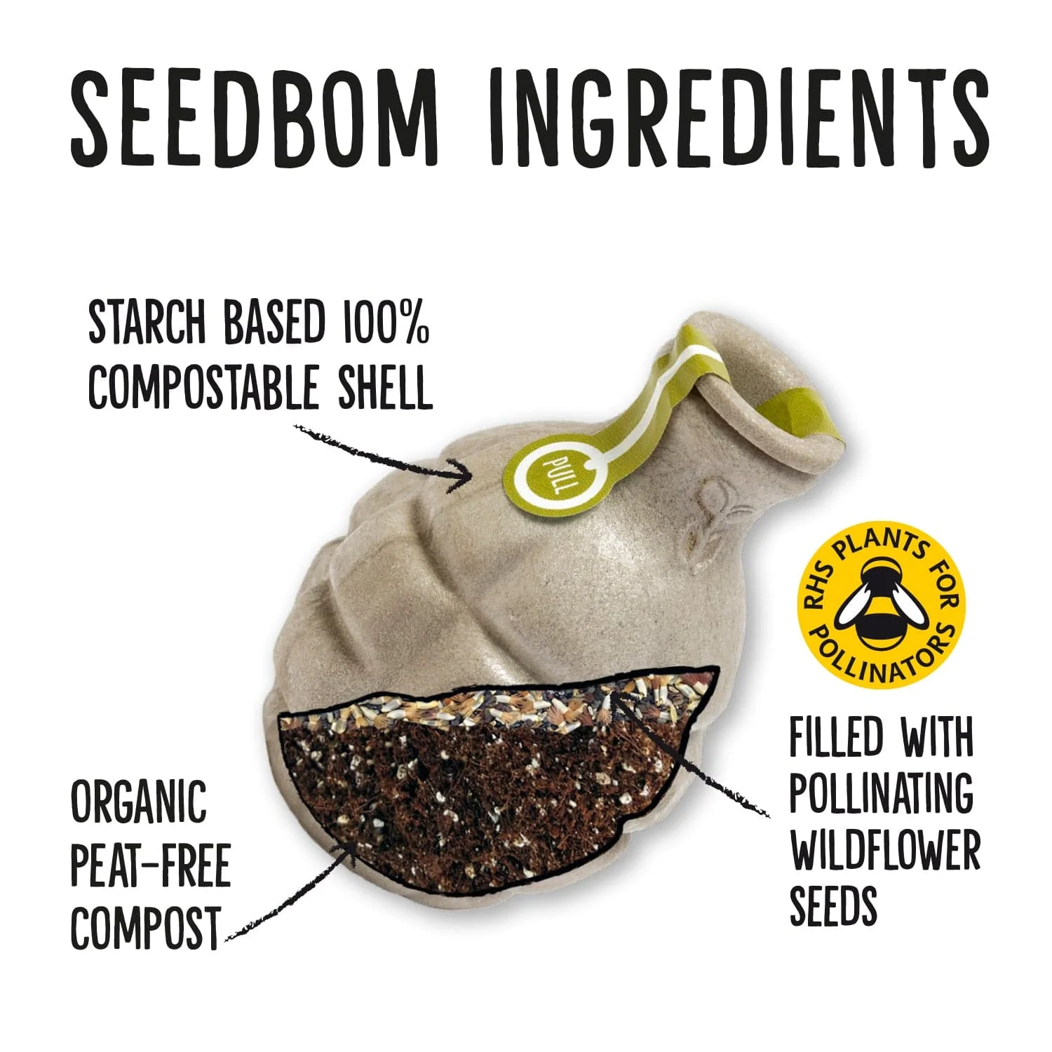 Seedbom Multipack Gift Set x 10 (Free UK delivery) - Image 4