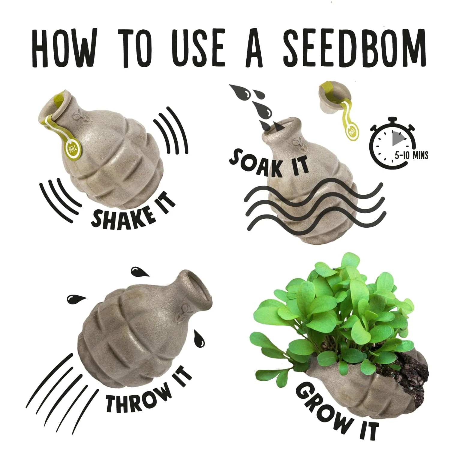 Seedbom Multipack Gift Set x 10 (Free UK delivery) - Image 5