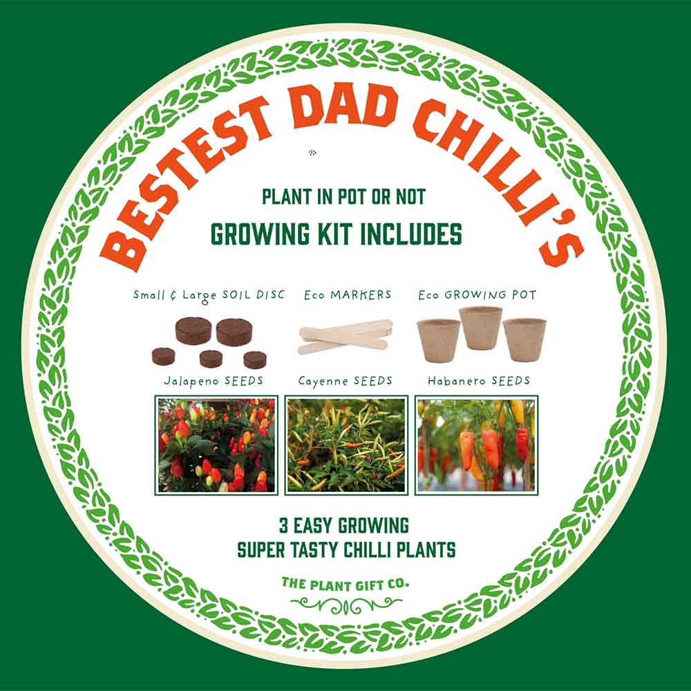 Number One Dad Chilli Growing Kit by The Plant Gift Co. - Image 2
