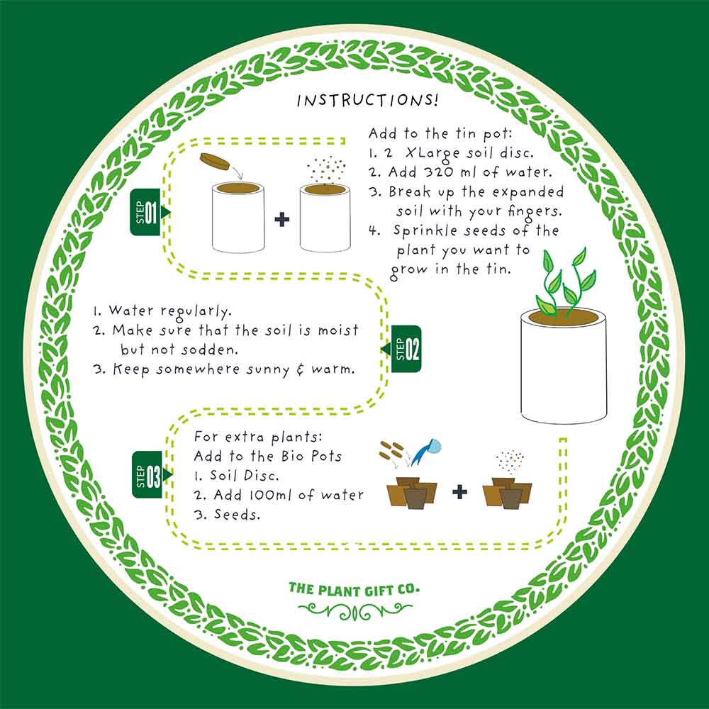 Number One Dad Chilli Growing Kit by The Plant Gift Co. - Image 6
