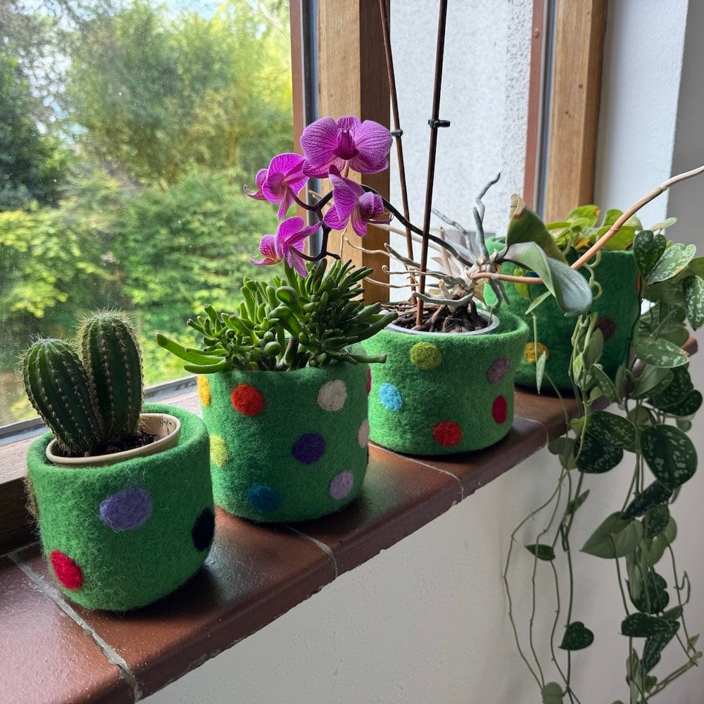 Polka Dot Wool Felt Plant Pot Cover - Emerald Green
