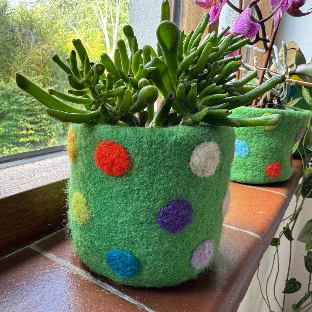 Polka Dot Wool Felt Plant Pot Cover - Emerald Green - Image 5