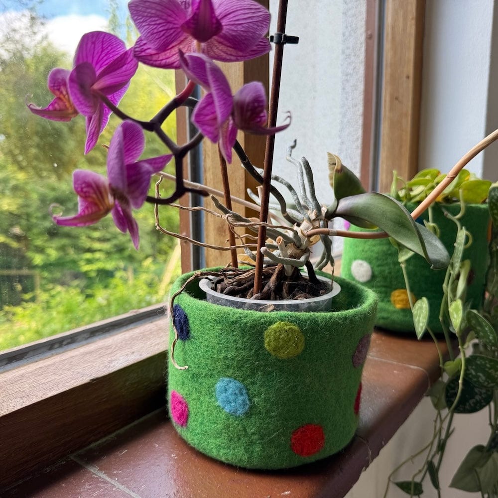 Polka Dot Wool Felt Plant Pot Cover - Emerald Green - Image 6