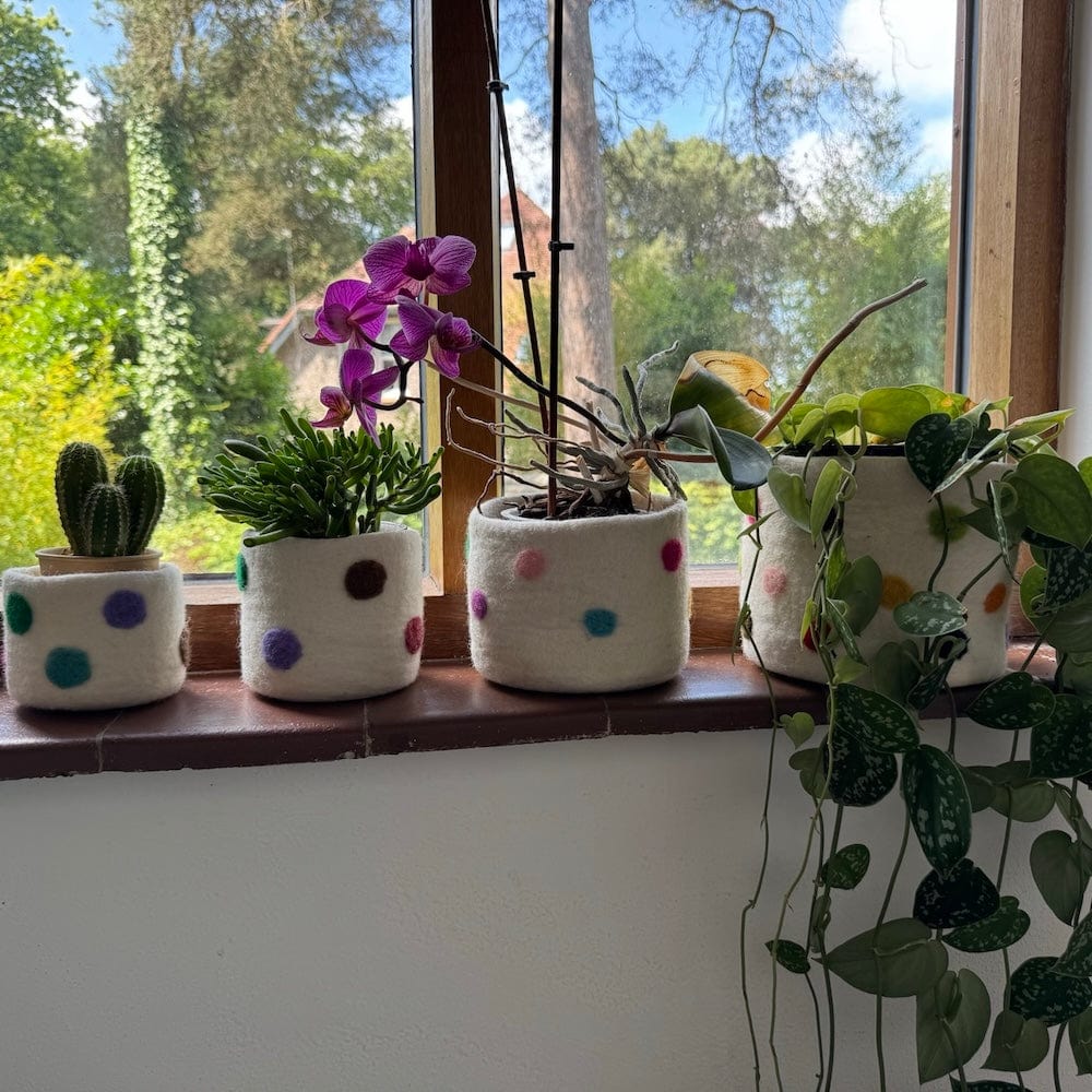 Polka Dot Wool Felt Plant Pot Cover - White