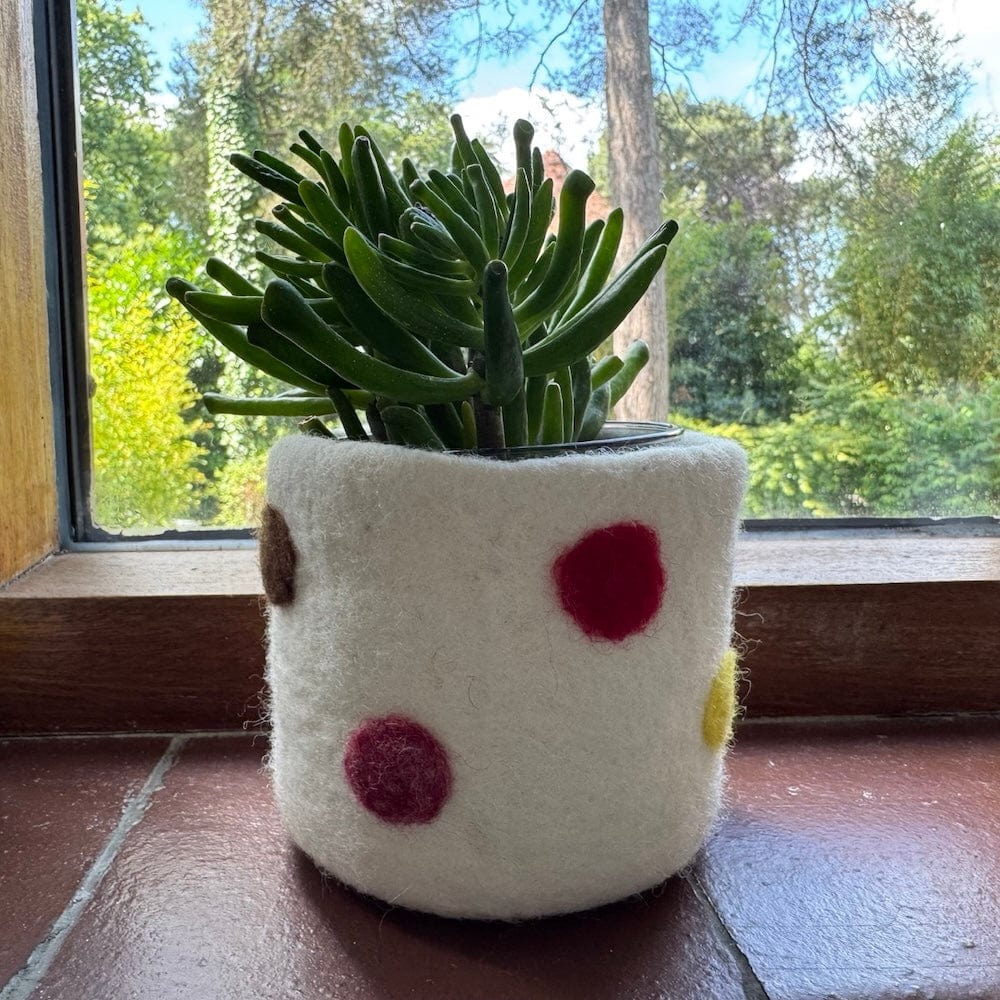 Polka Dot Wool Felt Plant Pot Cover - White - Image 2