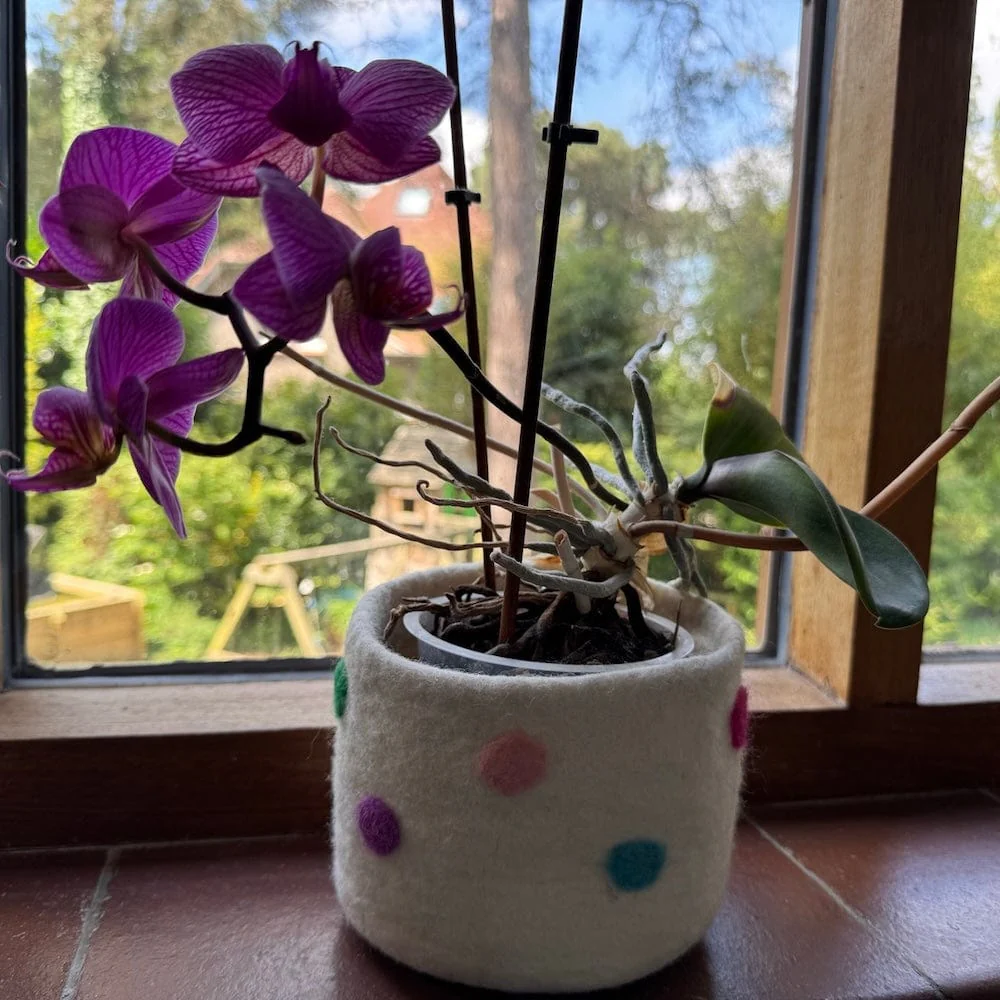 Polka Dot Wool Felt Plant Pot Cover - White - Image 6