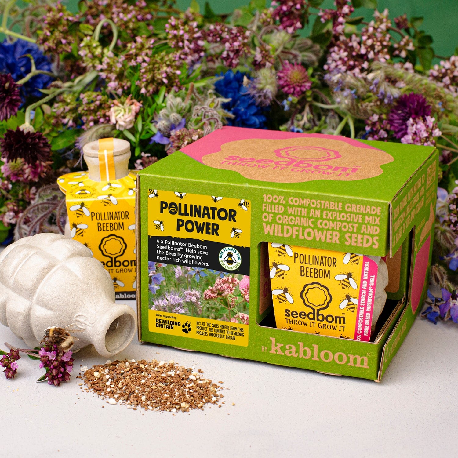 Pollinator Power Seedbom Gift Box - Image 2