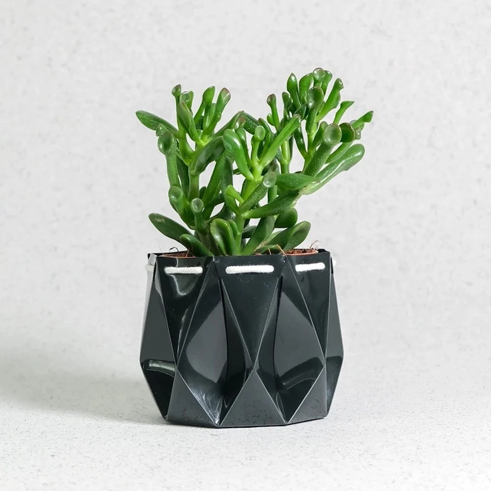 POTR Self Watering Ocean Plant Pot - Midnight