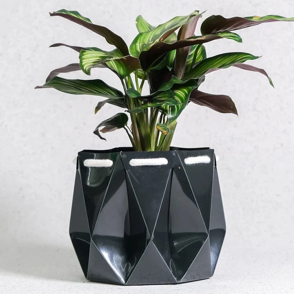 POTR Self Watering Ocean Plant Pot - Midnight - Image 2