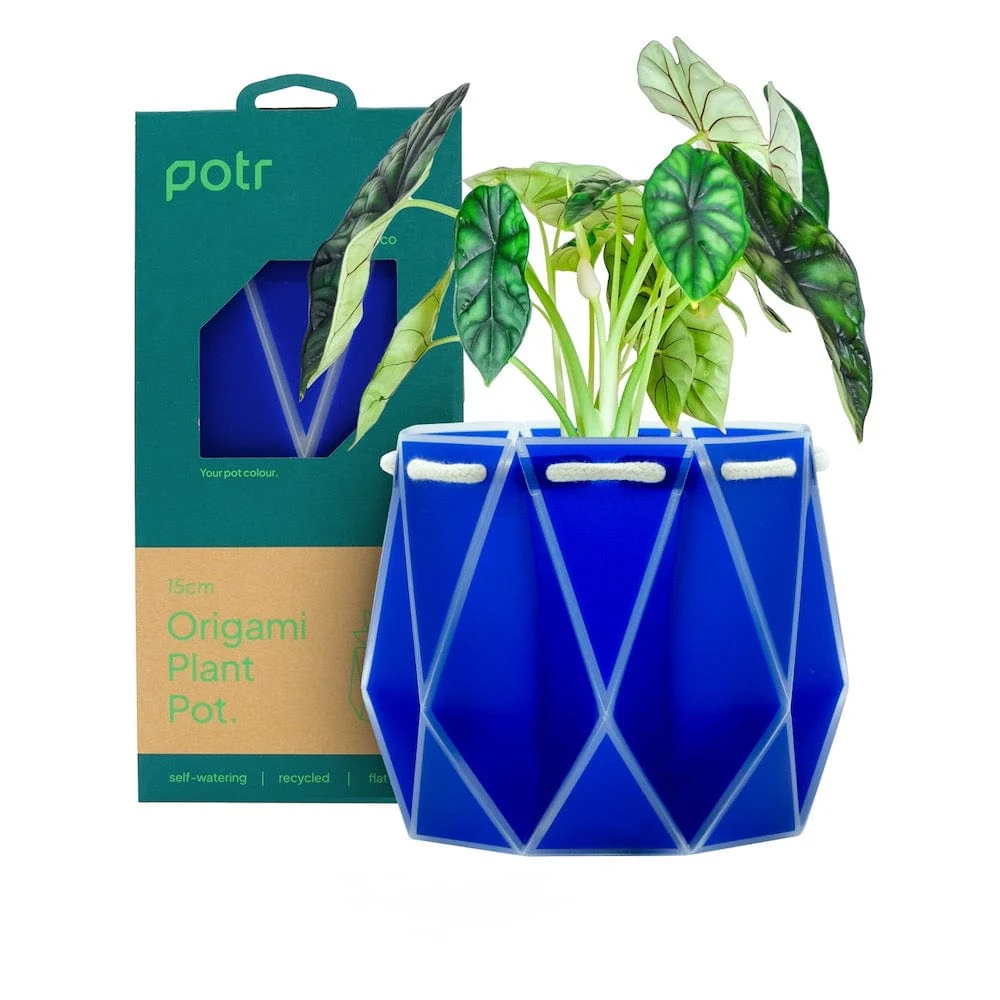 POTR Self Watering Origami Plant Pot - Navy - Image 4