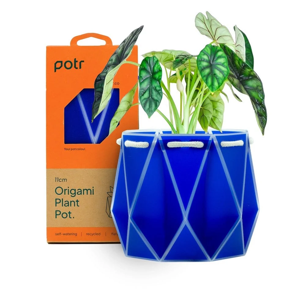 POTR Self Watering Origami Plant Pot - Navy - Image 5