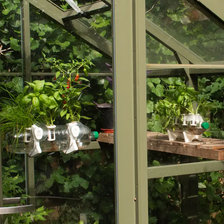 Red Hot Chilli Grow Pack - Refill Kit - Image 6
