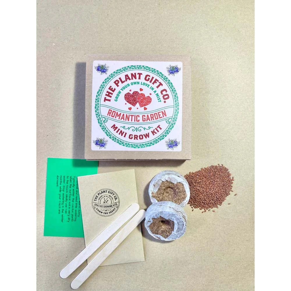 Romantic Garden Mini Grow Kit by The Plant Gift Co. - Image 4