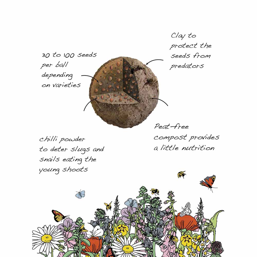 Save The Bees Mini Seedball Tins - Image 3