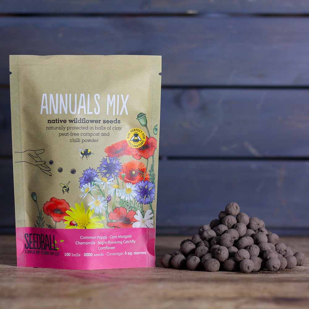 Seedball Wildflower Grab Bag - Annuals Mix - Image 5