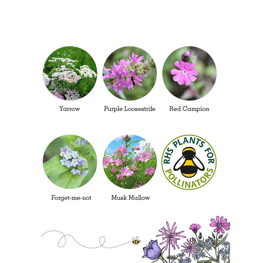 Seedball Wildflower Grab Bag - Butterfly Mix - Image 2