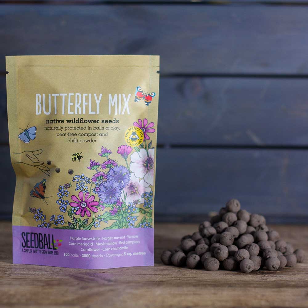 Seedball Wildflower Grab Bag - Butterfly Mix - Image 5