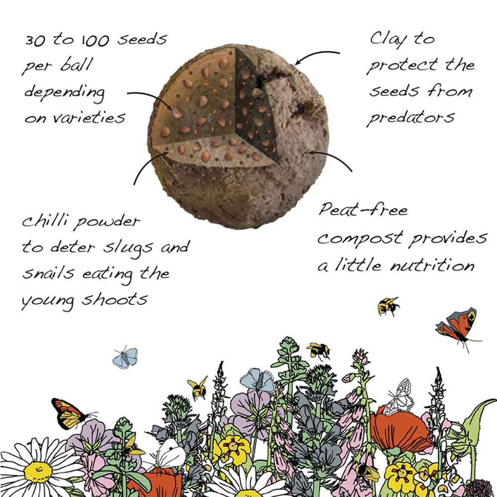 Seedball Wildflower Grab Bag - Edible Flowers - Image 5