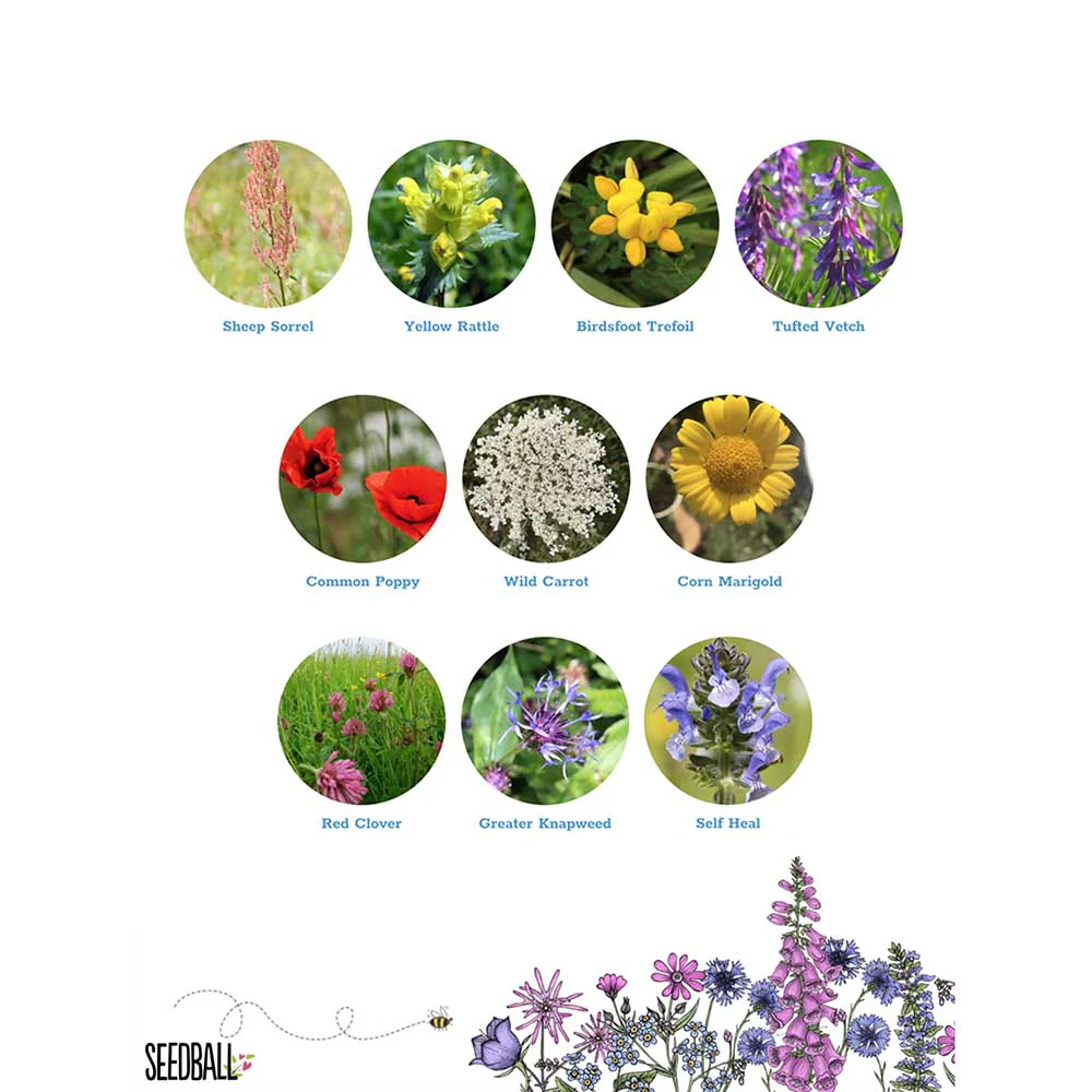 Seedball Wildflower Grab Bag - Wildlife Mix - Image 2