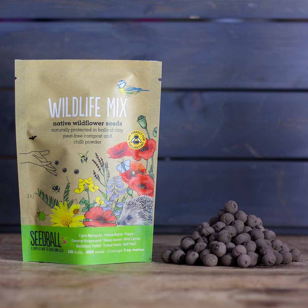 Seedball Wildflower Grab Bag - Wildlife Mix - Image 4