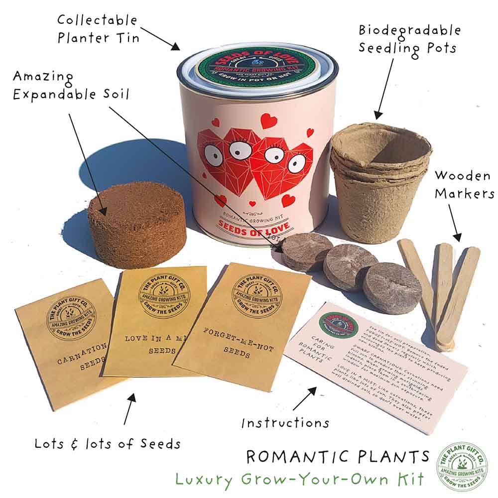 Seeds of Love Growing Kit by The Plant Gift Co. - Image 2