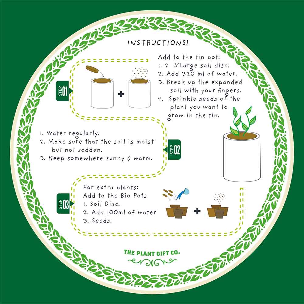 Seeds of Love Growing Kit by The Plant Gift Co. - Image 6